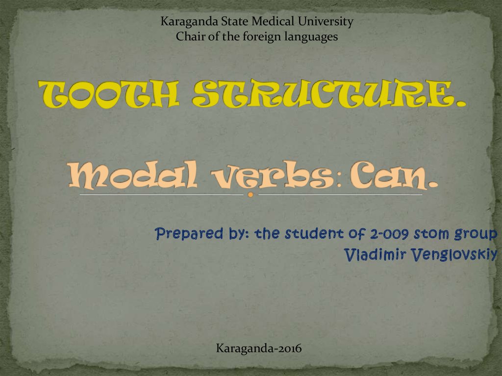 TOOTH STRUCTURE. Modal verbs: Can.