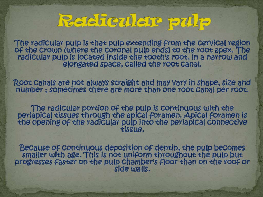 Radicular pulp