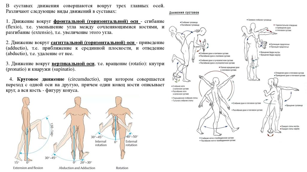 Двигается колено