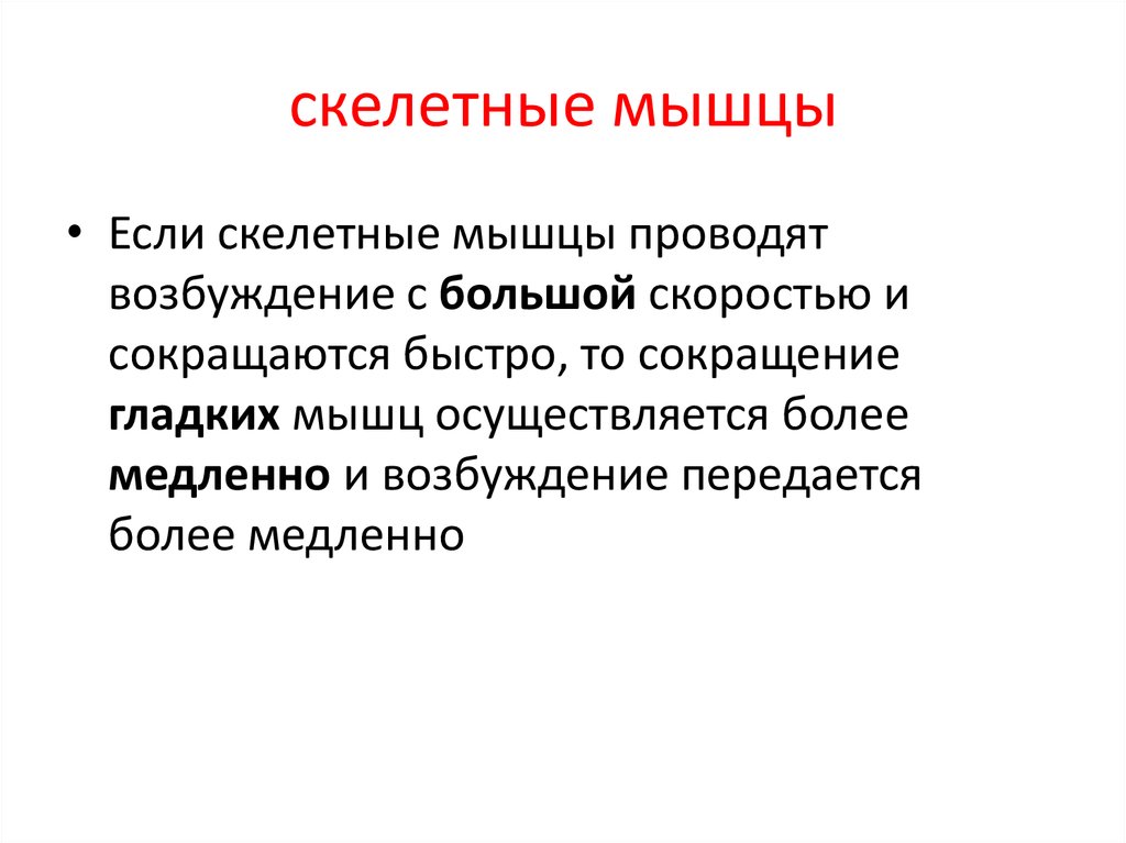 Функции скелетных мышц