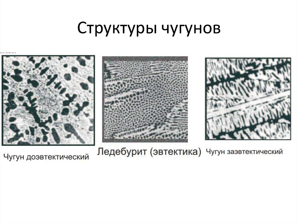 Структура чугуна. Структура Чугунов. Структура структура чугуна. Заэвтектический серый чугун.