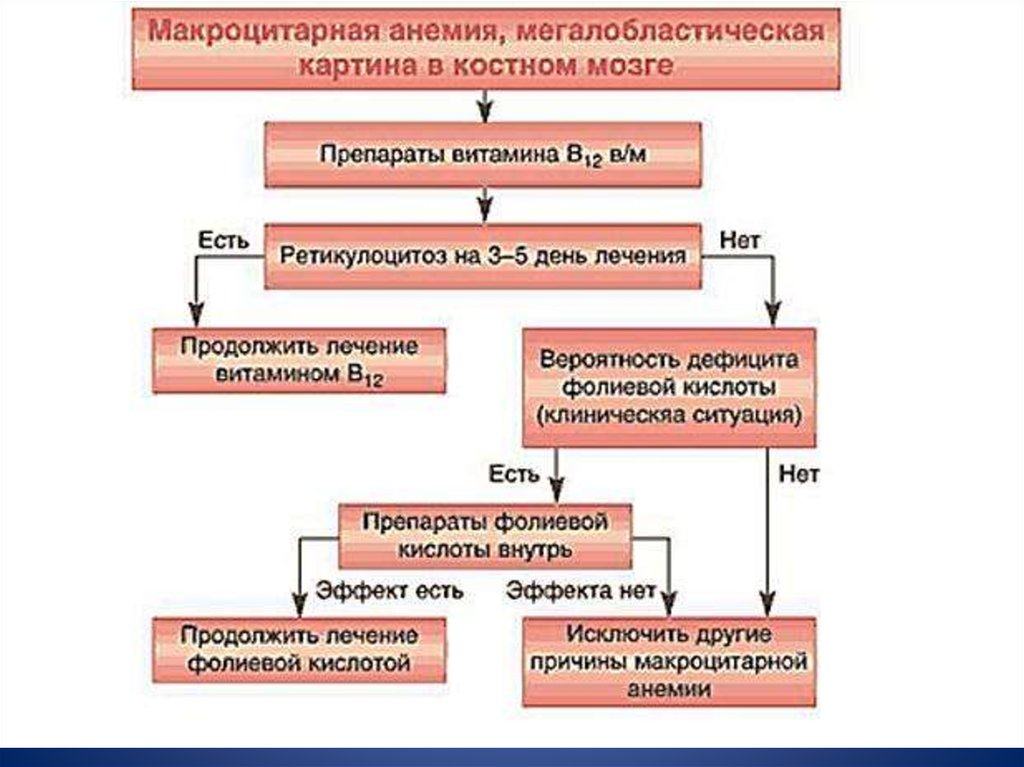 Схема лечения анемии