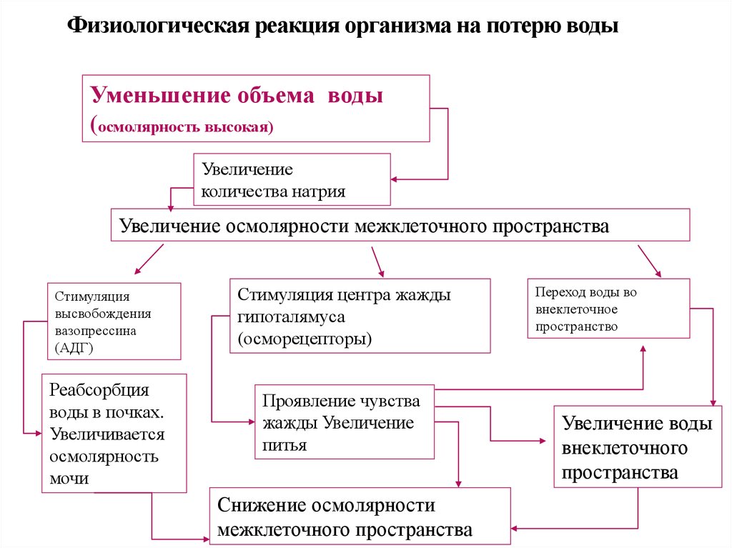 Реакция организма. Физиологическая реакция. Физиологические реакции организма. Биофизиологические реакции. Физиологические реакции человека.