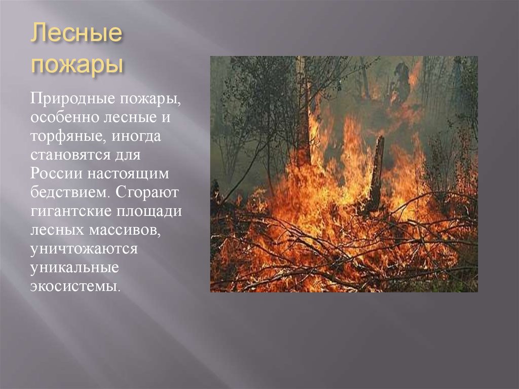 Особенности природного пожара