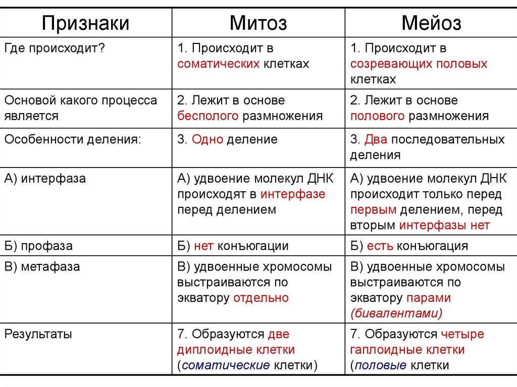 Сравнении с тем же периодом. Стадии митоза и мейоза таблица. Процессы митоза и мейоза таблица. Различия митоза и мейоза таблица 10 класс. Сравнительная таблица митоза и мейоза 10 класс.