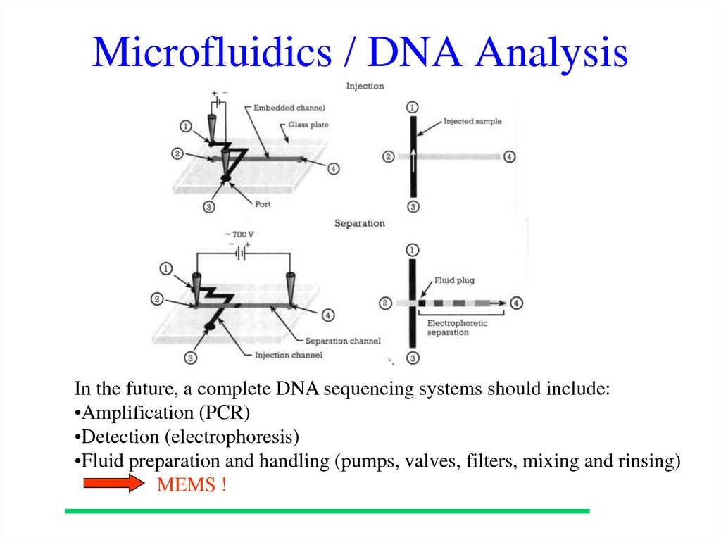 Microfluidics / DNA Analysis