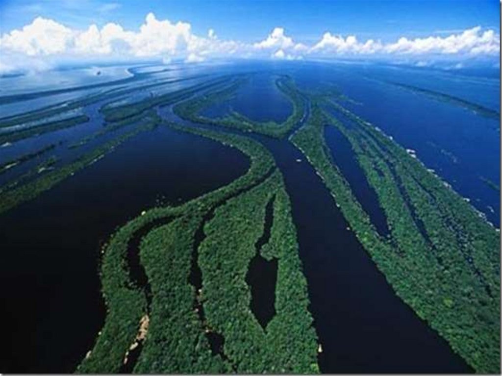 Какая из перечисленных рек самая длинная. Южная Америка река Амазонка. Амазонка самая полноводная река в мире.