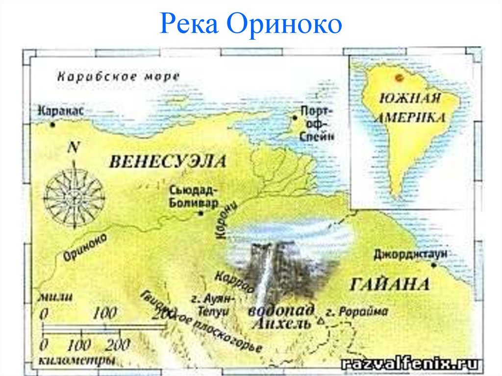 Река Ориноко на карте. Устье Ориноко. Левый приток Ориноко.