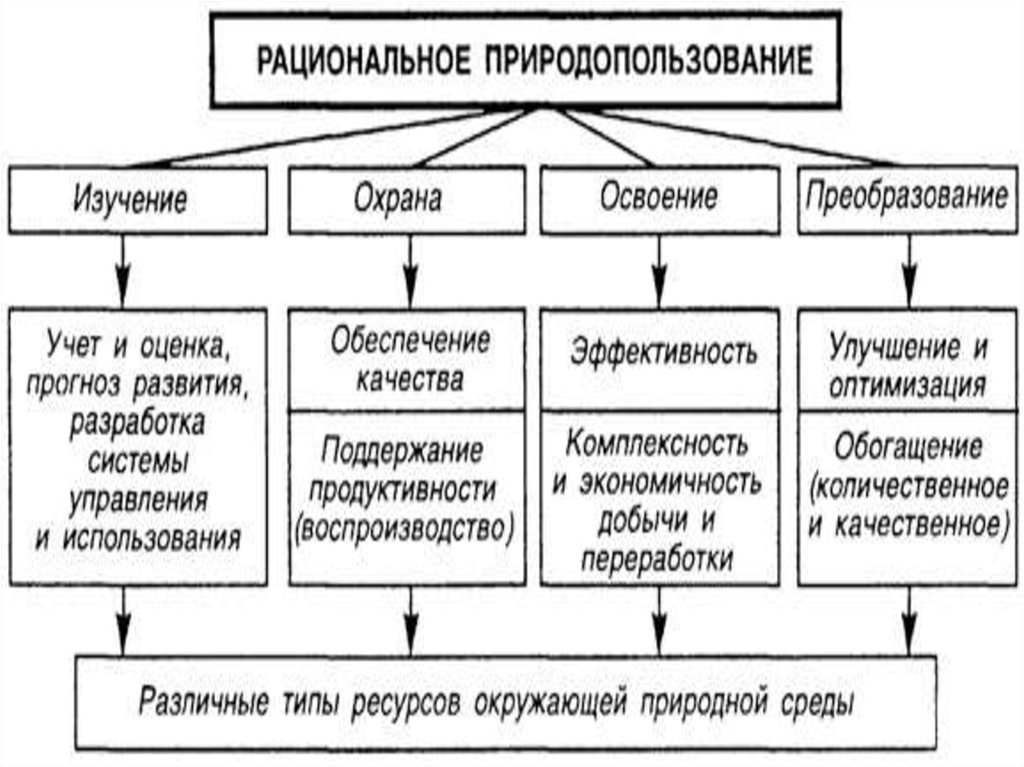 Рациональное использование природных ресурсов и охрана природы презентация