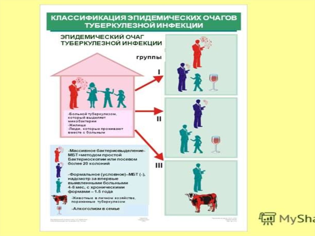 Очаги туберкулезной инфекции