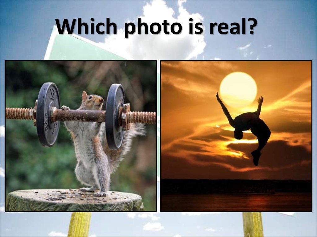 Which photo is real?