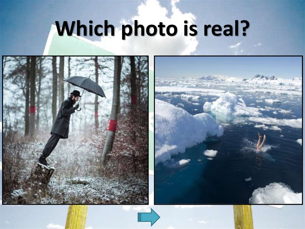 Which photo is real?