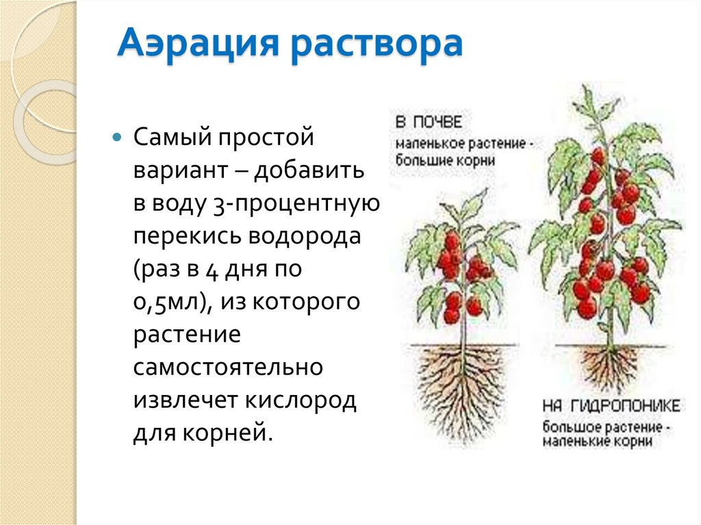 Качество растений