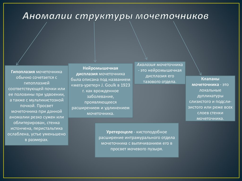 Аномалии мочеполовой системы презентация