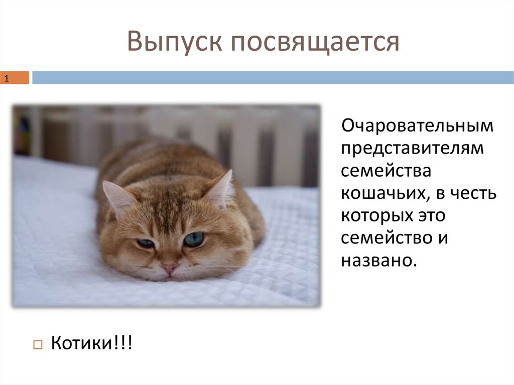 Выпуск посвящается