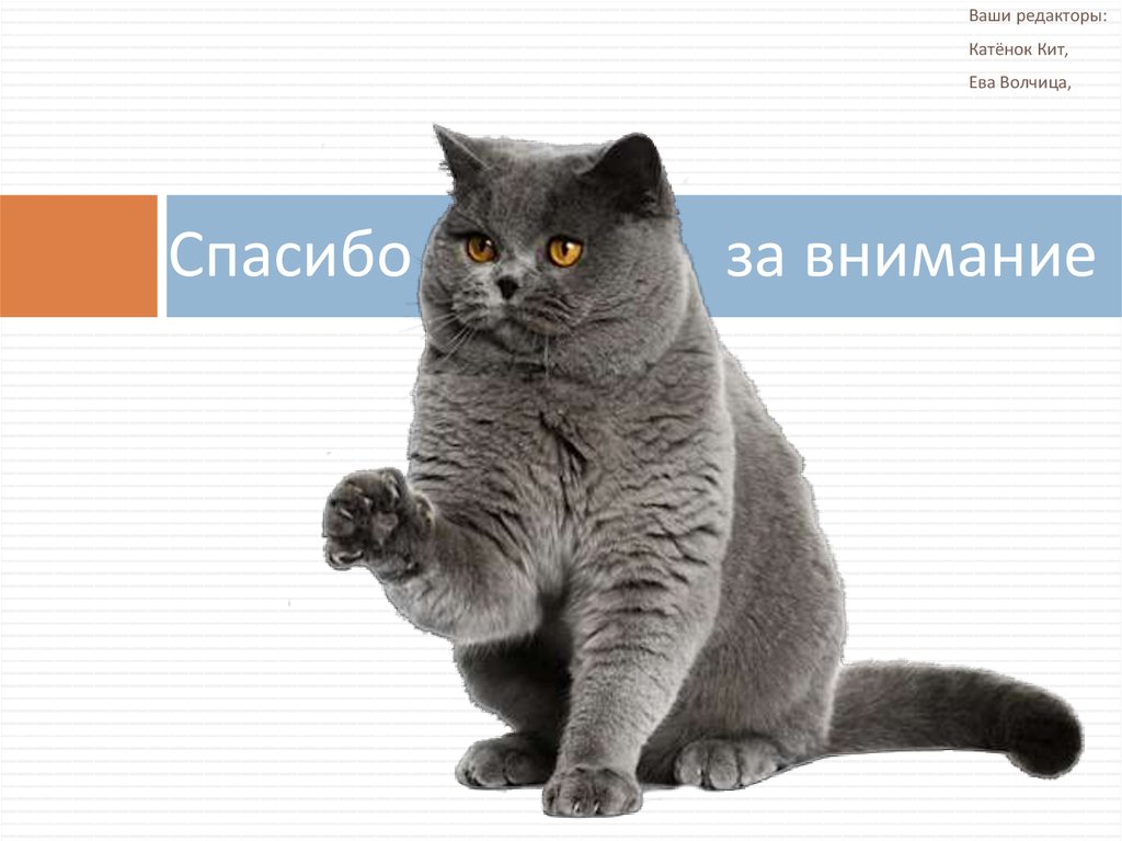 Спасибо за внимание