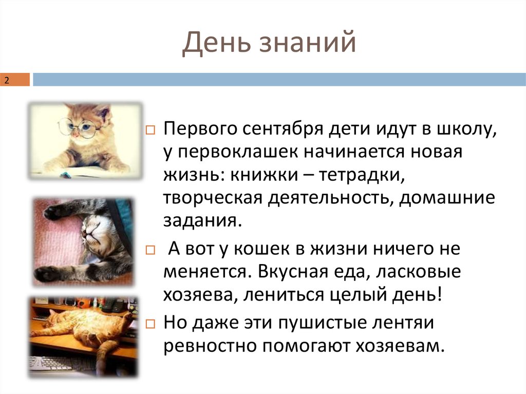 День знаний