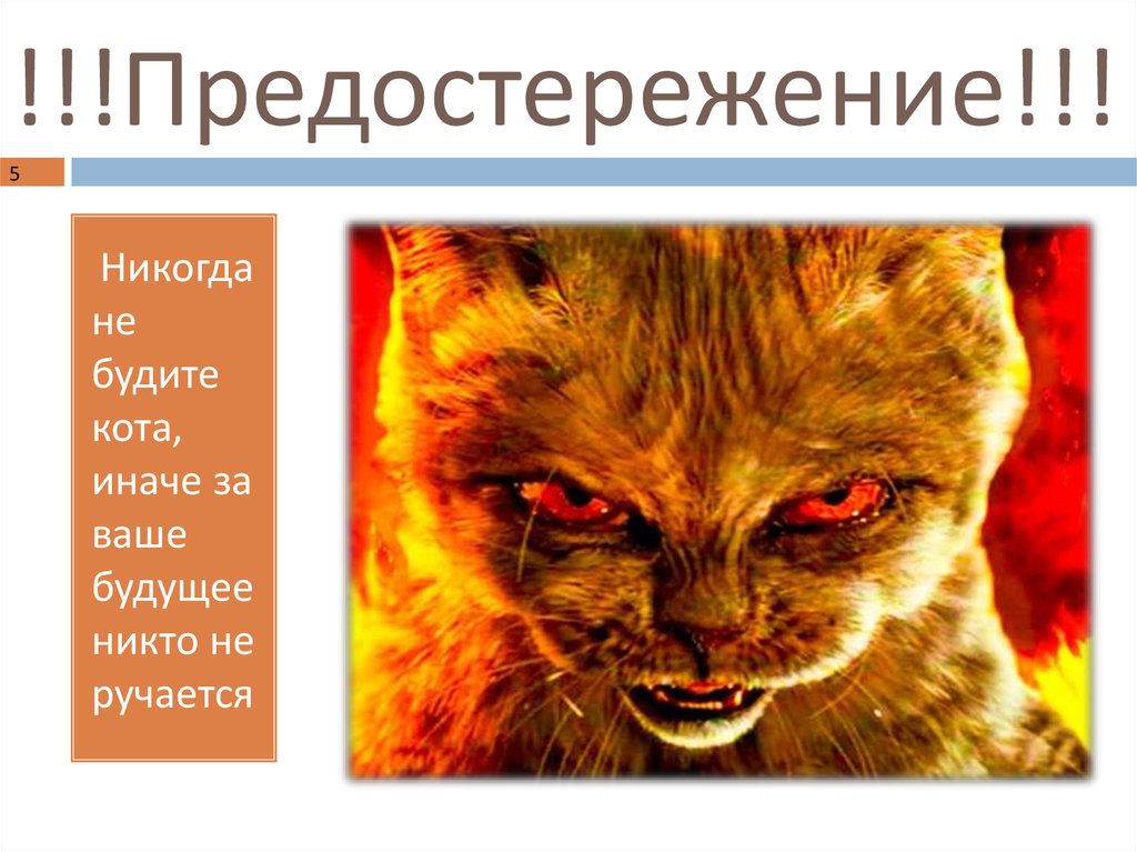 !!!Предостережение!!!