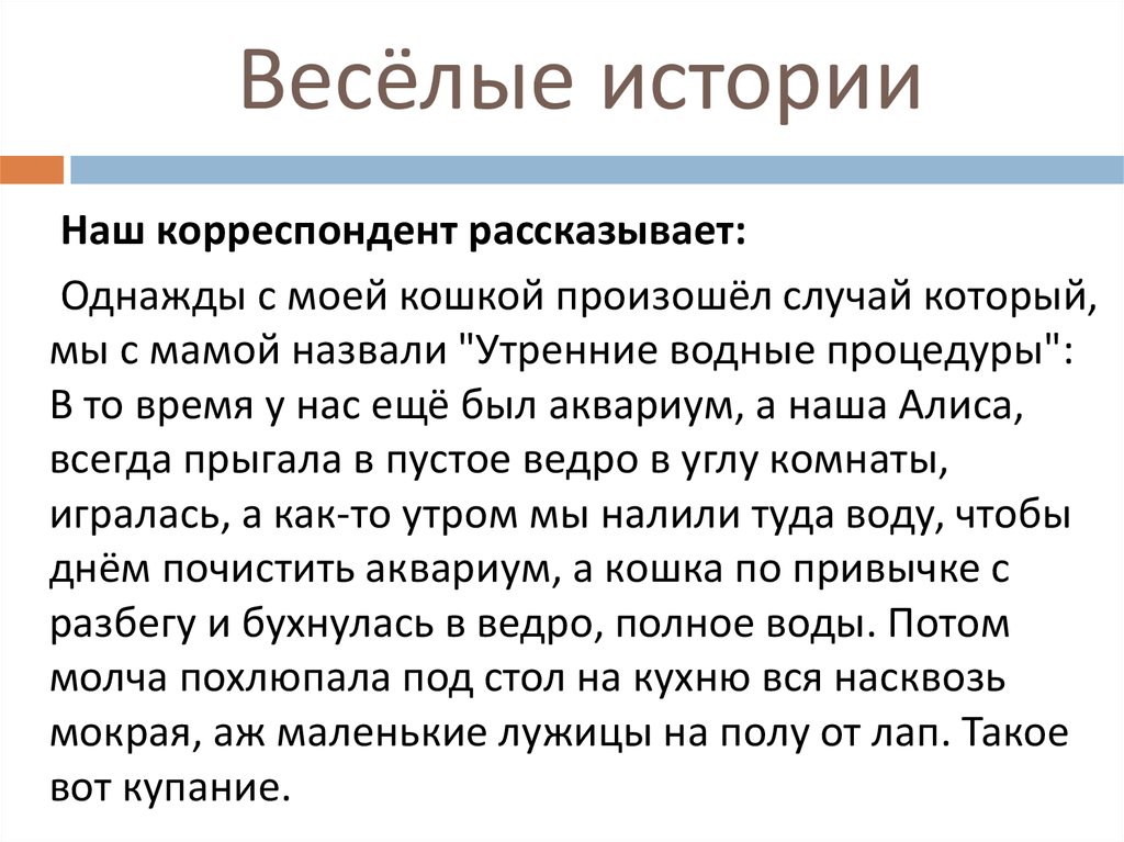 Весёлые истории