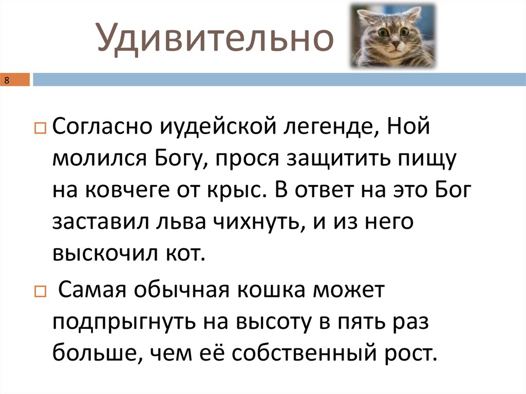 Удивительно