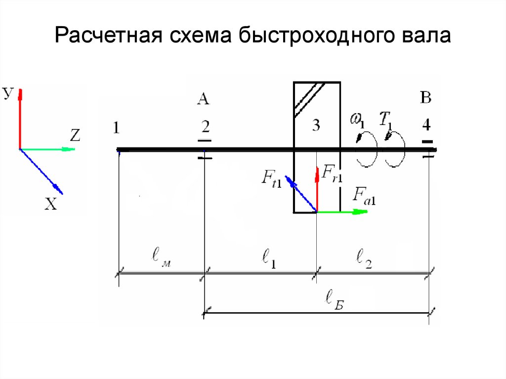 Расчетная схема. Расчетная схема быстроходного вала цилиндрического редуктора. Расчетная схема быстроходного вала. Расчетная схема гребного вала. Расчет быстроходного вала схема.