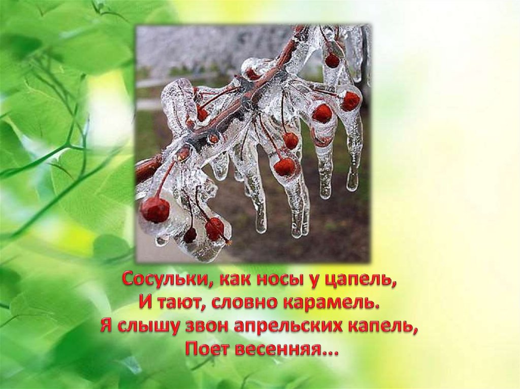 Словно карамель. Сосульки как носы у цапель и тают словно. Сосульки как носы у цапель. Доклад о весне.