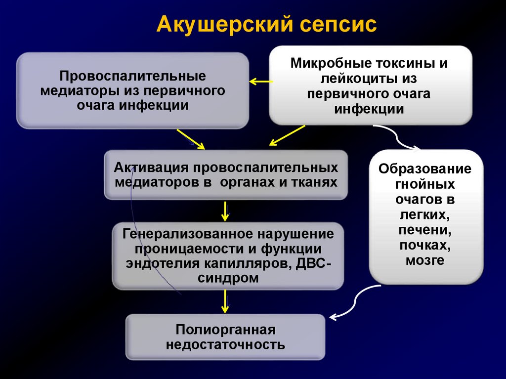 Сепсис патофизиология презентация