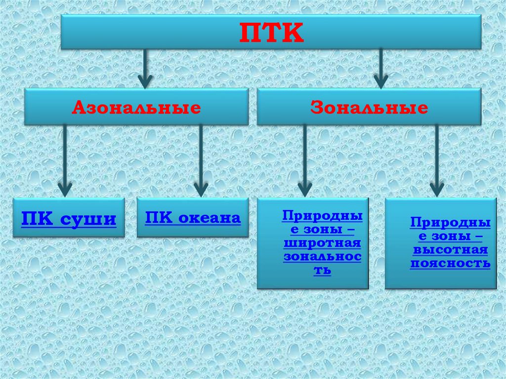 Природные комплексы океанов. Зональные природные комплексы. Что такое зональные природные комплексы в океане. Зональные природные компоненты. Зональные и азональные природные зоны.