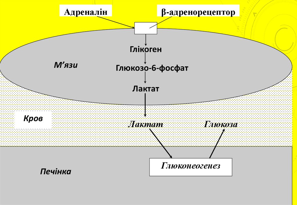 Обмен c