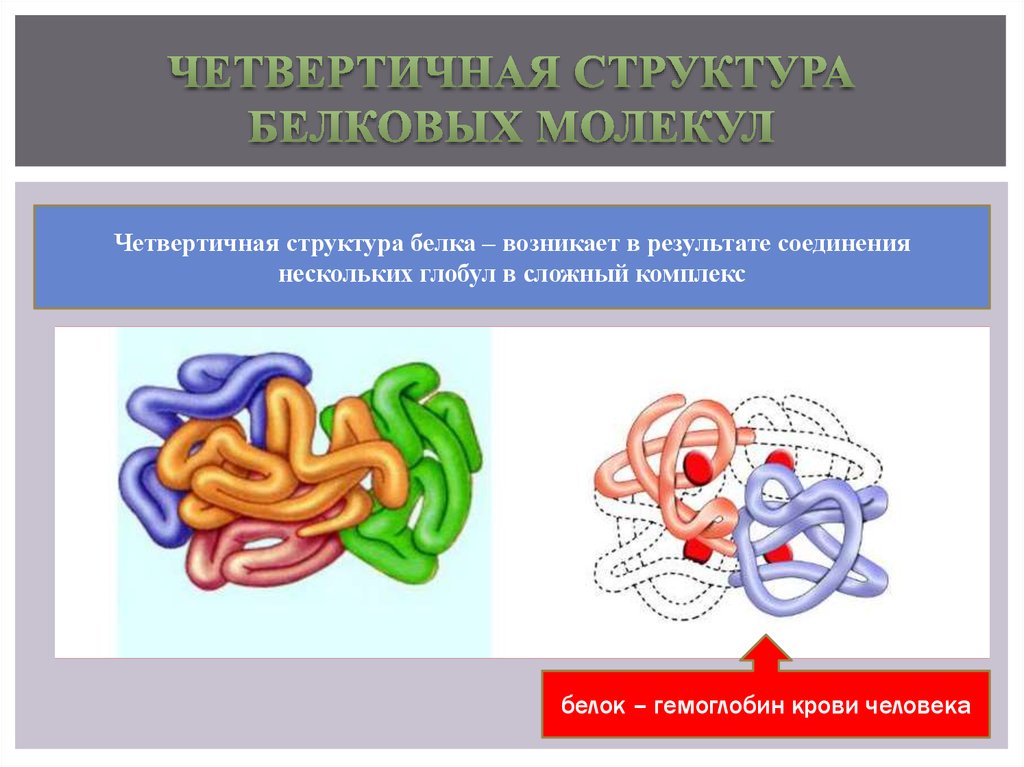 Рисунок четвертичной структуры белка