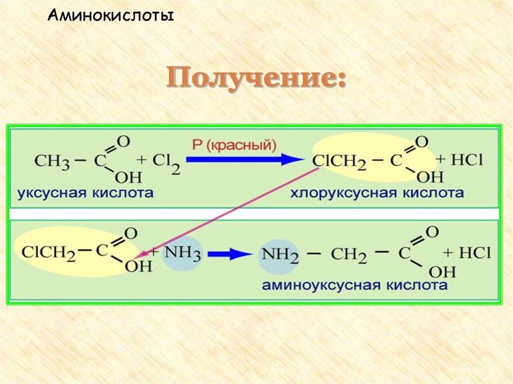 Уксусная кислота хлоруксусная кислота реакция. Хлоруксусная кислота. Получение аминокислот. Получение аминоуксусной кислоты из уксусной кислоты. Уксусная кислота аминоуксусная кислота.
