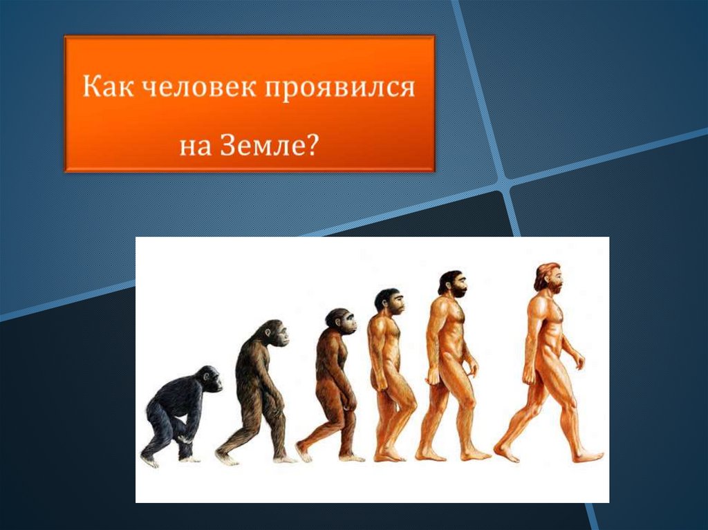 Биология 5 класс как появился человек на земле презентация 5 класс биология