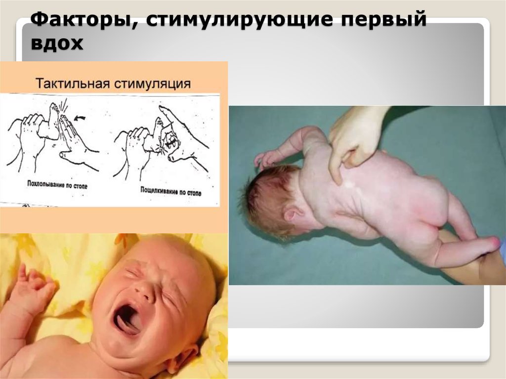 С первым вдохом. Первый вдох новорожденного. Первый вдох ребенка физиология. Первый вдох новорожденного механизм. Механизм первого вдоха новорожденного презентация.