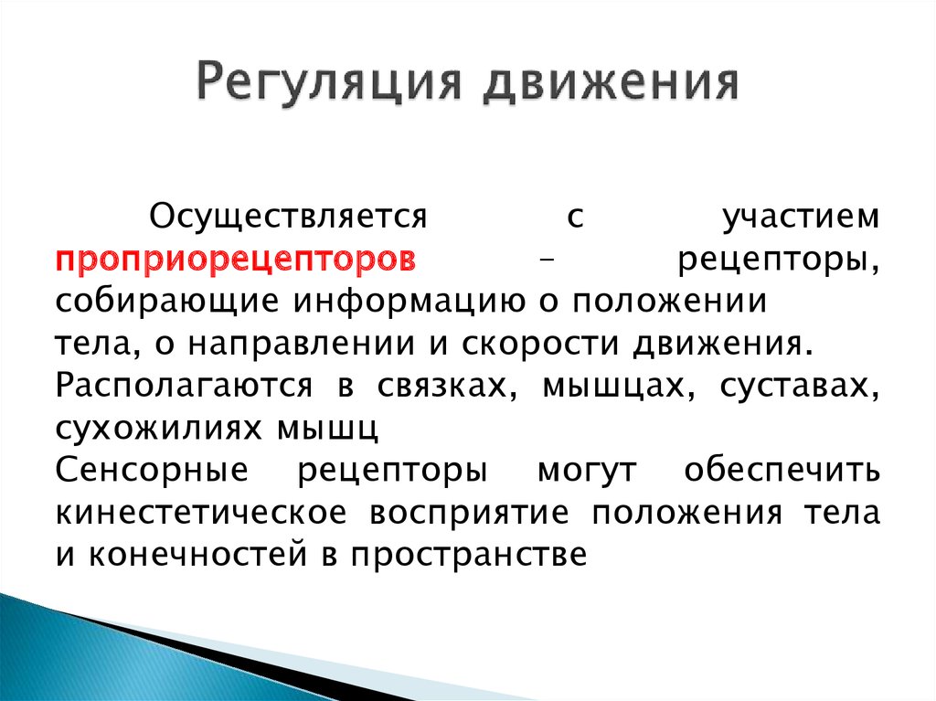 Рецепторы двигательного. Регуляция движений. Регуляция движений основывается:. Регуляцию произвольных движений осуществляет. Речевая регуляция движений.