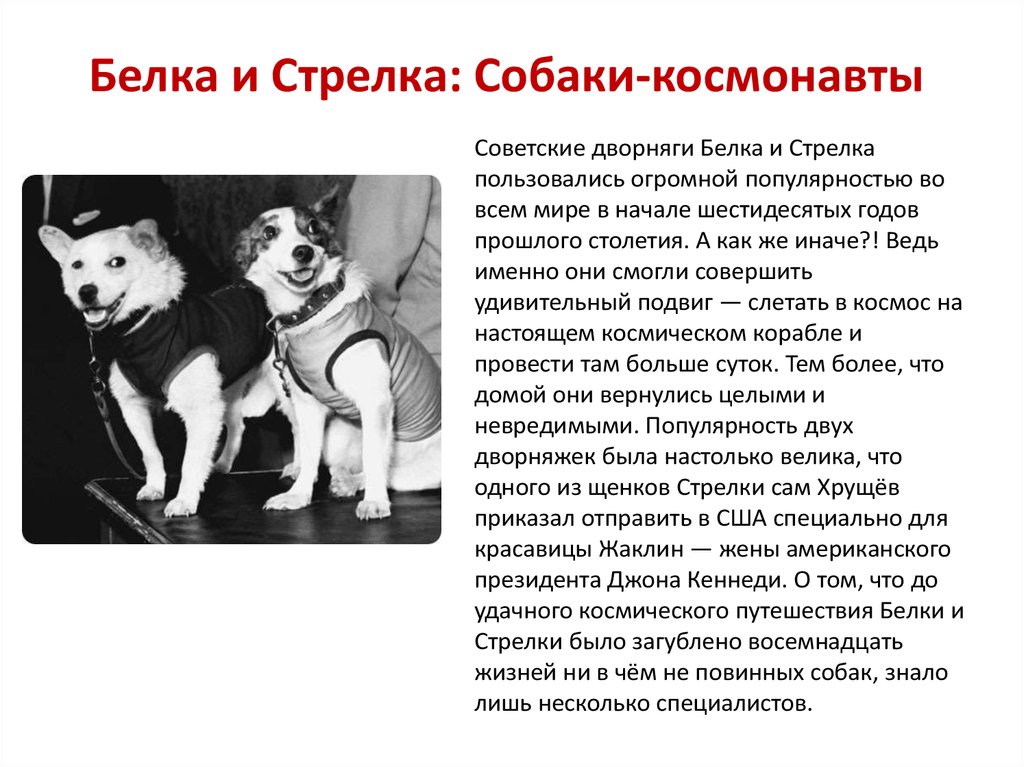 Белка и Стрелка: Собаки-космонавты