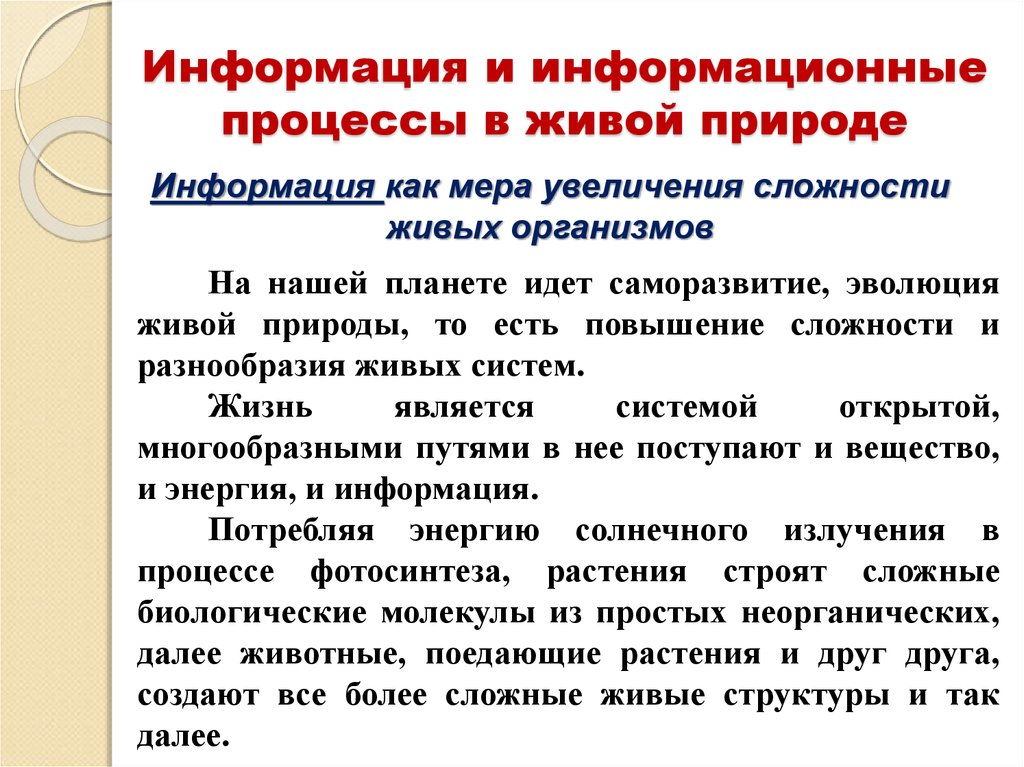 Информационные процессы в живой природе. Информационные процессы в природе. Информация и информационные процессы в живой природе. Сообщение информационные процессы в живой природе. Информационные процессы в природе сообщение.