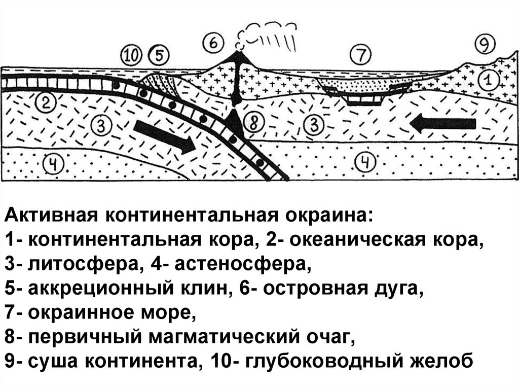 Континентальная 6 4. Активная Континентальная окраина. Активная Континентальная окраина схема. Активная Континентальная окраина Андского типа. Активная окраина островодужного типа.