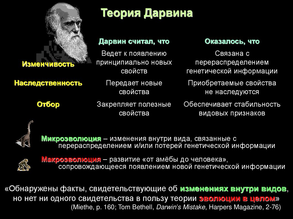Первой эволюционной теорией является. Эволюционная теория Чарльза Дарвина. Теория эволюции Чарльза Дарвина (материалистическая). Теория эволюции Дарвина кратко.