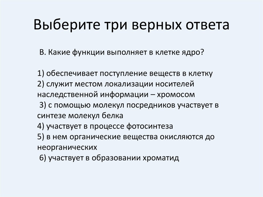 Установите соответствие между функцией нейрона