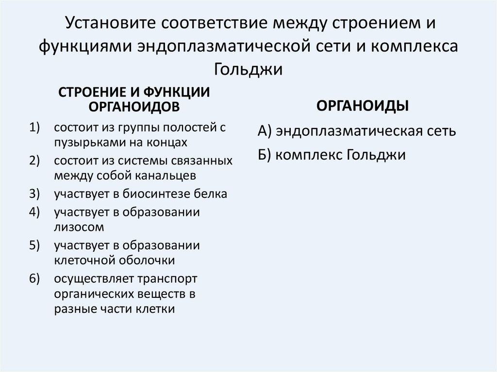 Установите соответствие строение животного и класса. Установите  соответствие между строением. Установите соответствие между строением и функцией. Установите соответствие между структурами. Установите соответствие между органоидами и их функциями.