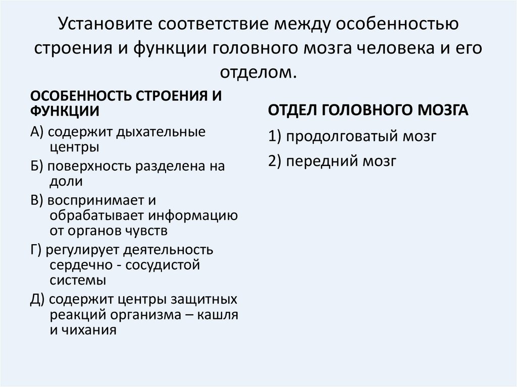 Установите соответствие между особенностями строения. Установите соответствие между строением и функцией головного мозга. Установите соответствие между структурами головного мозга. Соответствие между особенностями строения.