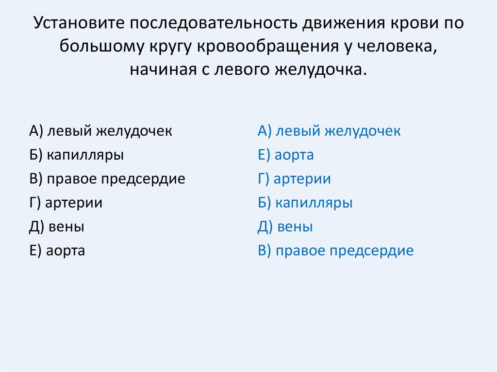 В какой последовательности проходить. Последовательность прохождения крови по большому кругу. Установите последовательность движения крови. Установите последовательность движения крови по большому кругу. Установите движение крови по большому кругу кровообращению.