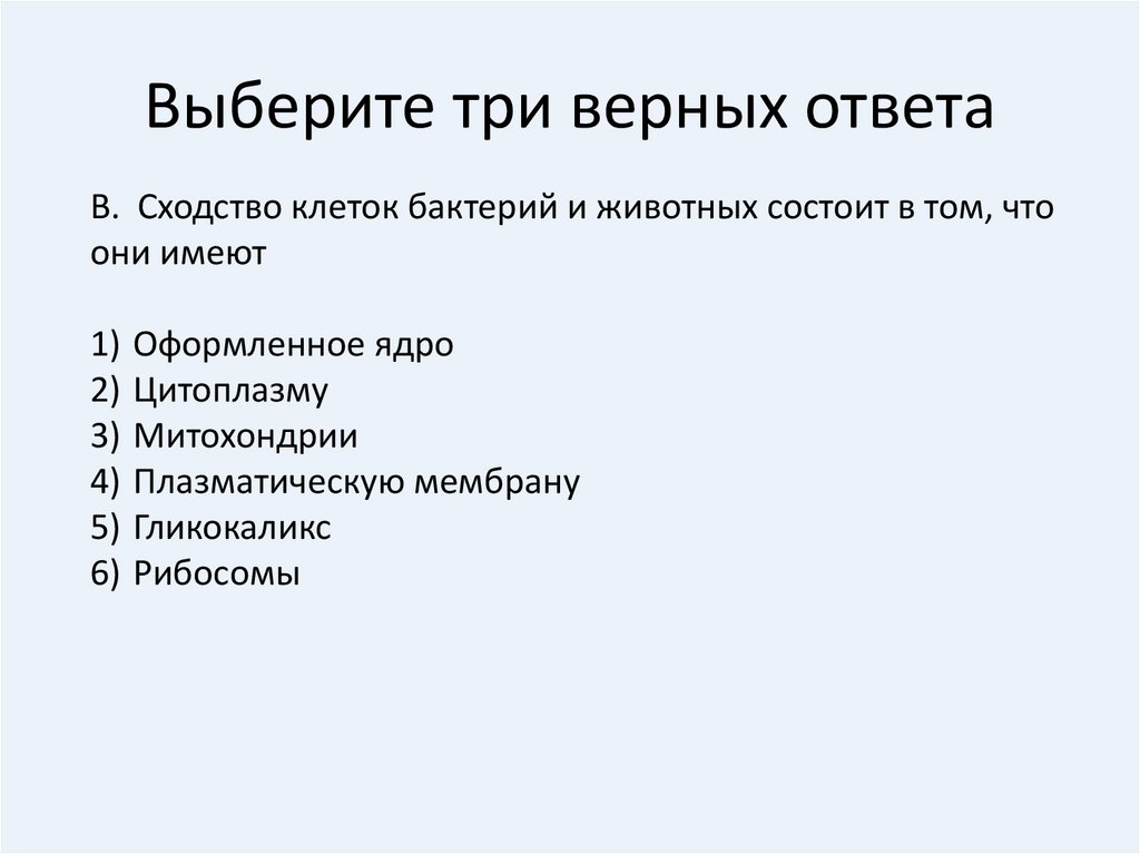 Выберите три верных утверждения из шести. Выберите два верных ответа. В клетке бактерий. Выберите два верных ответа в клетке бактерий ответ. Схожесть клеток бактерий и животных состоит. Выберите 2 верных ответа в клетке бактерий.