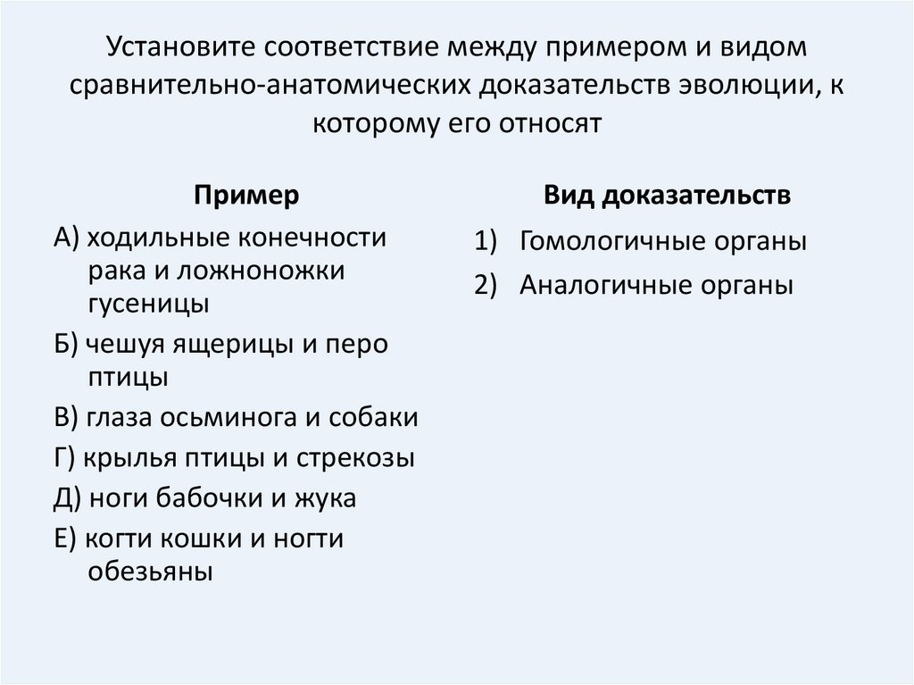 Установите соответствие между примерами потребностей. Установите соответствие между примерами и доказательствами эволюции. Установите соответствие между примерами и направлениями эволюции. Установите соответствие гомологичные и аналогичные органы. Установите соответствие между 1 доказательством эволюции и их видов.