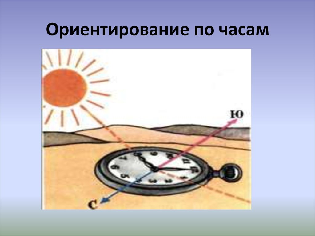 Ориентирование по солнцу 2 класс. Ориентирование на местности часы. Ориентироваться по часам и солнцу. Ориентирование на местности с помощью часов. Ориентирование по солнцу и часам.