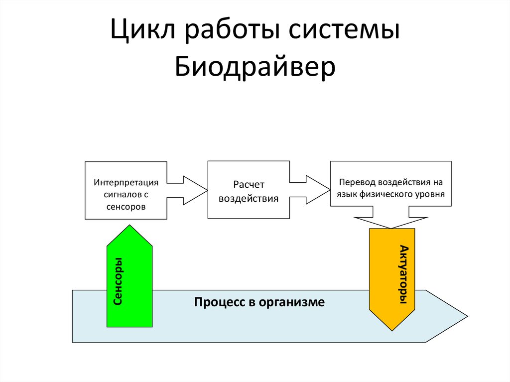 Работа цикла. Цикличность работы это. Система работы. Внедрение в цикл работы.