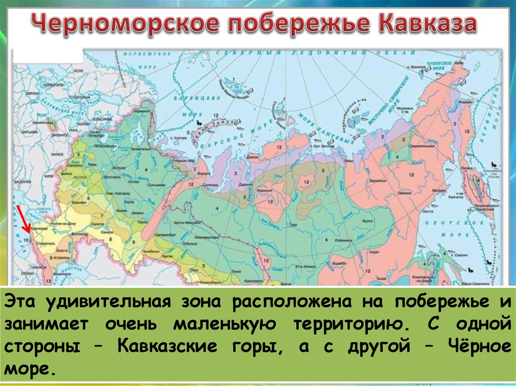 Черные зоны на карте. Природная зона Черноморского побережья. Географическое положение Черноморского побережья. Расположение зоны субтропиков. Где находится Черноморское побережье Кавказа на карте.