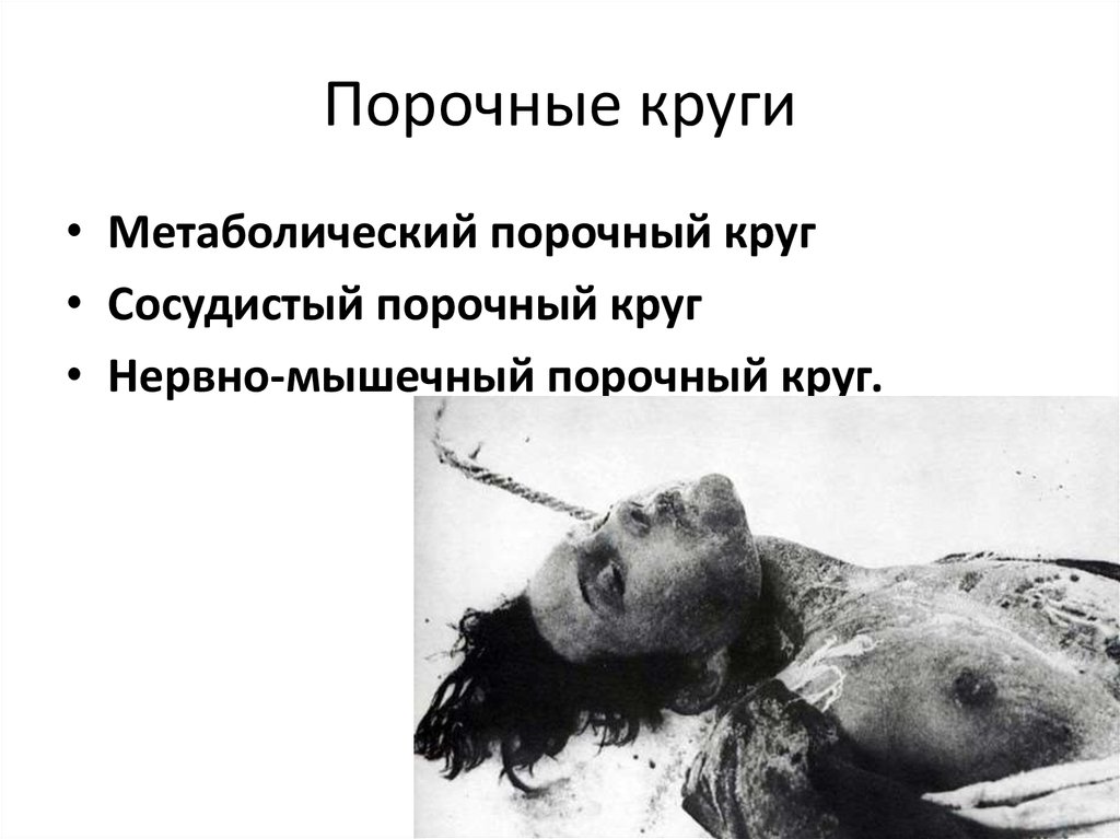 Порочные круги