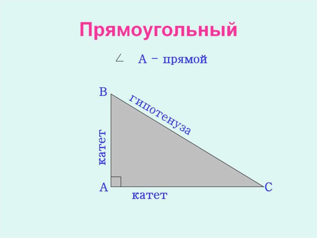 Указать элементы треугольника. Элементы треугольника. Элементы треугольника 7 класс. Элементы треугольника 11 букв.