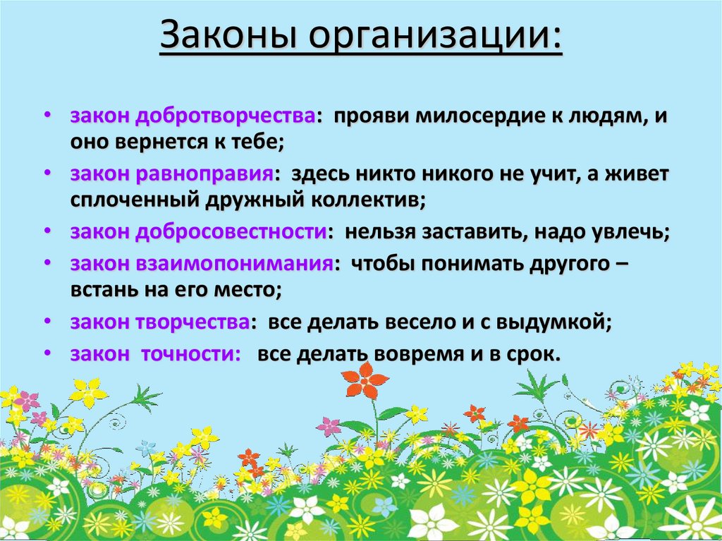 Основным законом организации является. Законы организации. Организационные законы. Законы организации картинки. Законы проведения презентации.